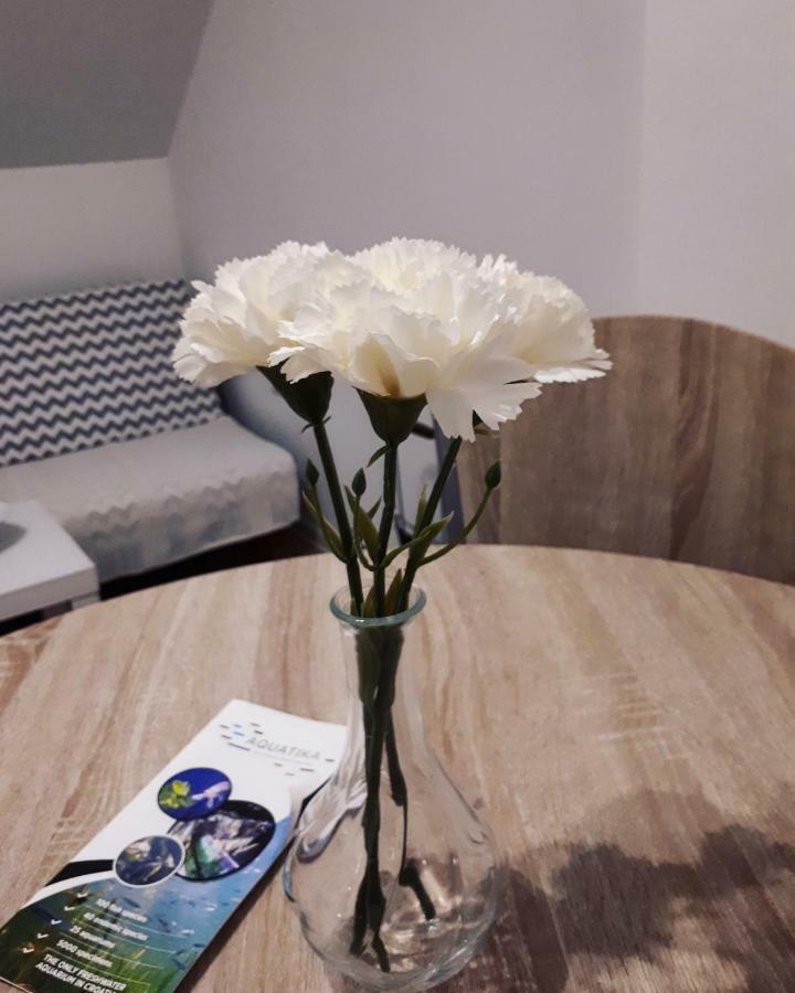 Apartman Lena Tusilovic Экстерьер фото