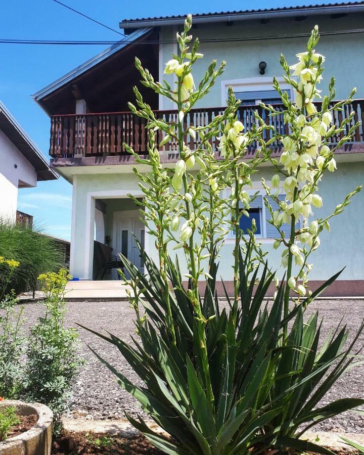 Apartman Lena Tusilovic Экстерьер фото